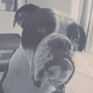 Meet your Posher, Eric